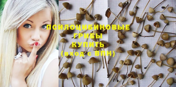 герыч Осташков