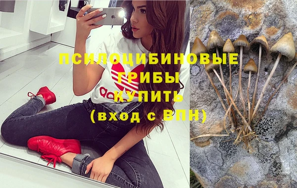 мескалин Осинники