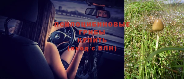 герыч Осташков