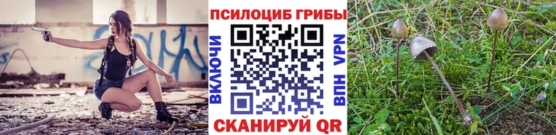 MEGA рабочий сайт  закладка  Кочубеевское  Псилоцибиновые грибы Psilocybe 